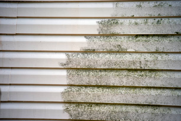 Best Siding Removal and Disposal  in Runnemede, NJ